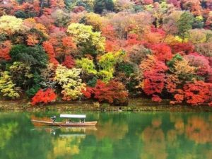 Beautiful Autumn in Osaka Tokyo Japan