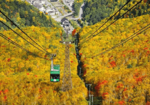 Hokkaido Autumn